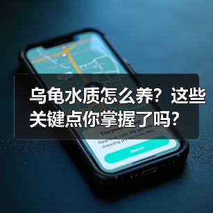 乌龟水质怎么养?这些关键点你掌握了吗?(图4) 乌龟水质怎么养?这些关键点你掌握了吗?(图4)