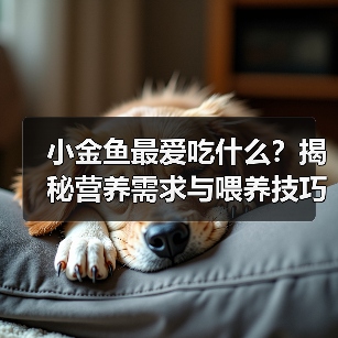 小金鱼最爱吃什么?揭秘营养需求与喂养技巧(图1) 小金鱼最爱吃什么?揭秘营养需求与喂养技巧(图1)
