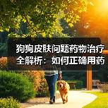 狗狗皮肤问题药物治疗全解析:如何正确用药?(图1) 狗狗皮肤问题药物治疗全解析:如何正确用药?(图1)