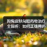 狗狗皮肤问题药物治疗全解析:如何正确用药?(图3) 狗狗皮肤问题药物治疗全解析:如何正确用药?(图3)