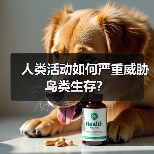 人类活动如何严重威胁鸟类生存?(图3) 人类活动如何严重威胁鸟类生存?(图3)
