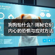 狗狗怕什么?揭秘它们内心的恐惧与应对方法(图2) 狗狗怕什么?揭秘它们内心的恐惧与应对方法(图2)