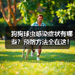 狗狗球虫感染症状有哪些?预防方法全在这!(图4) 狗狗球虫感染症状有哪些?预防方法全在这!(图4)