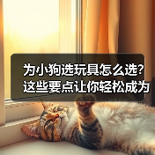 为小狗选玩具怎么选?这些要点让你轻松成为最佳伙伴(图4) 为小狗选玩具怎么选?这些要点让你轻松成为最佳伙伴(图4)