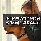 狗狗心梗急救黄金时间仅几分钟!掌握这些方法或能救命!(图1) 狗狗心梗急救黄金时间仅几分钟!掌握这些方法或能救命!(图1)
