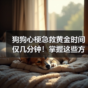 狗狗心梗急救黄金时间仅几分钟!掌握这些方法或能救命!(图3) 狗狗心梗急救黄金时间仅几分钟!掌握这些方法或能救命!(图3)