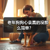 老年狗狗心衰真的没那么简单?(图1) 老年狗狗心衰真的没那么简单?(图1)