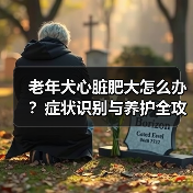 老年犬心脏肥大怎么办?症状识别与养护全攻略(图3) 老年犬心脏肥大怎么办?症状识别与养护全攻略(图3)