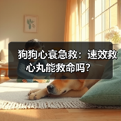 狗狗心衰急救：速效救心丸能救命吗？（图2）