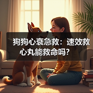狗狗心衰急救：速效救心丸能救命吗？（图4）