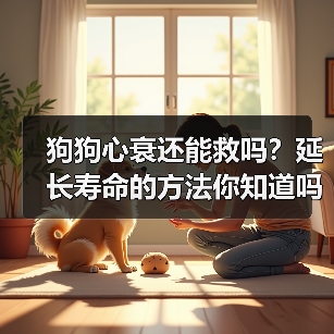 狗狗心衰还能救吗?延长寿命的方法你知道吗?(图1) 狗狗心衰还能救吗?延长寿命的方法你知道吗?(图1)
