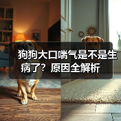狗狗大口喘气是不是生病了?原因全解析(图2) 狗狗大口喘气是不是生病了?原因全解析(图2)