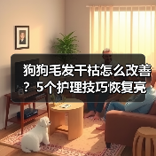 狗狗毛发干枯怎么改善?5个护理技巧恢复亮泽毛发(图2) 狗狗毛发干枯怎么改善?5个护理技巧恢复亮泽毛发(图2)