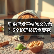狗狗毛发干枯怎么改善?5个护理技巧恢复亮泽毛发(图1) 狗狗毛发干枯怎么改善?5个护理技巧恢复亮泽毛发(图1)