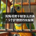 狗狗毛发干枯怎么改善?5个护理技巧恢复亮泽毛发(图4) 狗狗毛发干枯怎么改善?5个护理技巧恢复亮泽毛发(图4)