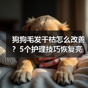 狗狗毛发干枯怎么改善?5个护理技巧恢复亮泽毛发(图3) 狗狗毛发干枯怎么改善?5个护理技巧恢复亮泽毛发(图3)