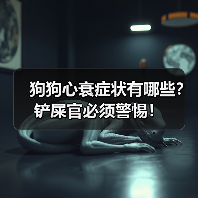 狗狗心衰症状有哪些?铲屎官必须警惕!(图1) 狗狗心衰症状有哪些?铲屎官必须警惕!(图1)
