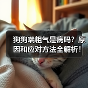 狗狗喘粗气是病吗?原因和应对方法全解析!(图3) 狗狗喘粗气是病吗?原因和应对方法全解析!(图3)