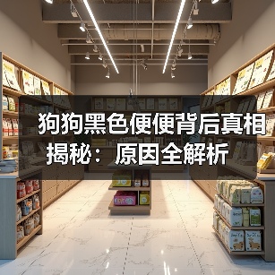 狗狗黑色便便背后真相揭秘：原因全解析（图3）