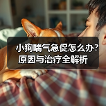 小狗喘气急促怎么办？原因与治疗全解析（图1）