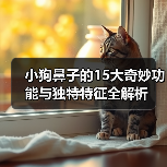 小狗鼻子的15大奇妙功能与独特特征全解析(图3) 小狗鼻子的15大奇妙功能与独特特征全解析(图3)
