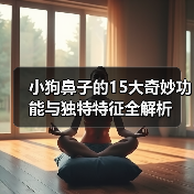 小狗鼻子的15大奇妙功能与独特特征全解析(图4) 小狗鼻子的15大奇妙功能与独特特征全解析(图4)