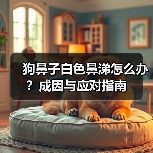 狗鼻子白色鼻涕怎么办?成因与应对指南(图4) 狗鼻子白色鼻涕怎么办?成因与应对指南(图4)