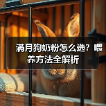 满月狗奶粉怎么选?喂养方法全解析(图4) 满月狗奶粉怎么选?喂养方法全解析(图4)