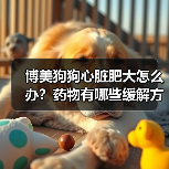 博美狗狗心脏肥大怎么办?药物有哪些缓解方法?(图3) 博美狗狗心脏肥大怎么办?药物有哪些缓解方法?(图3)