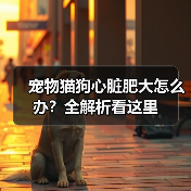 宠物猫狗心脏肥大怎么办?全解析看这里(图4) 宠物猫狗心脏肥大怎么办?全解析看这里(图4)