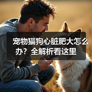 宠物猫狗心脏肥大怎么办?全解析看这里(图3) 宠物猫狗心脏肥大怎么办?全解析看这里(图3)