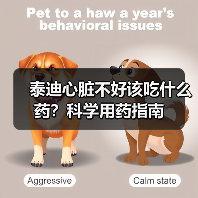 泰迪心脏不好该吃什么药?科学用药指南(图3) 泰迪心脏不好该吃什么药?科学用药指南(图3)