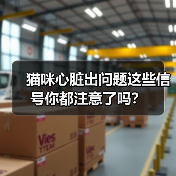猫咪心脏出问题这些信号你都注意了吗？（图2）