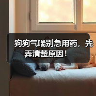 狗狗气喘别急用药,先弄清楚原因!(图1) 狗狗气喘别急用药,先弄清楚原因!(图1)
