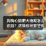 狗狗心脏肥大晚期怎么识别?这些症状要警惕!(图3) 狗狗心脏肥大晚期怎么识别?这些症状要警惕!(图3)