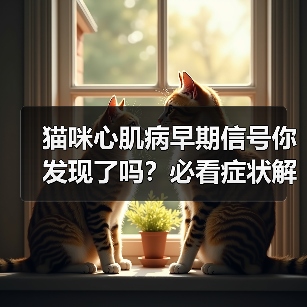 猫咪心肌病早期信号你发现了吗?必看症状解析(图2) 猫咪心肌病早期信号你发现了吗?必看症状解析(图2)