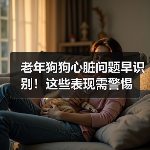 老年狗狗心脏问题早识别!这些表现需警惕(图1) 老年狗狗心脏问题早识别!这些表现需警惕(图1)