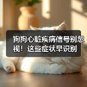 狗狗心脏疾病信号别忽视！这些症状早识别（图2）