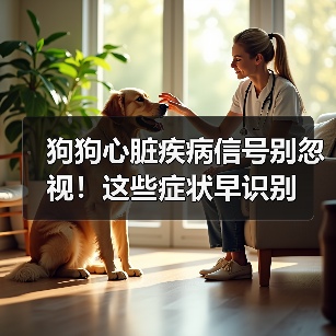 狗狗心脏疾病信号别忽视！这些症状早识别（图3）