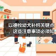 以德牧幼犬补钙关键点,这些注意事项必须知道(图2) 以德牧幼犬补钙关键点,这些注意事项必须知道(图2)