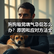 狗狗睡觉喘气急促怎么办?原因和应对方法全解析(图2) 狗狗睡觉喘气急促怎么办?原因和应对方法全解析(图2)