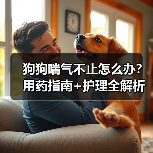 狗狗喘气不止怎么办?用药指南+护理全解析(图3) 狗狗喘气不止怎么办?用药指南+护理全解析(图3)