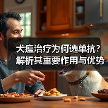 犬瘟治疗为何选单抗?解析其重要作用与优势(图1) 犬瘟治疗为何选单抗?解析其重要作用与优势(图1)