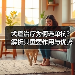 犬瘟治疗为何选单抗?解析其重要作用与优势(图4) 犬瘟治疗为何选单抗?解析其重要作用与优势(图4)