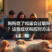 狗狗吃了鸡蛋会过敏吗?这些症状和应对方法你必须知道(图1) 狗狗吃了鸡蛋会过敏吗?这些症状和应对方法你必须知道(图1)