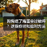 狗狗吃了鸡蛋会过敏吗?这些症状和应对方法你必须知道(图4) 狗狗吃了鸡蛋会过敏吗?这些症状和应对方法你必须知道(图4)