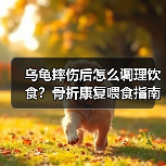 乌龟摔伤后怎么调理饮食?骨折康复喂食指南(图1) 乌龟摔伤后怎么调理饮食?骨折康复喂食指南(图1)