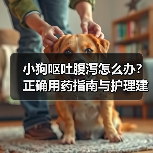 小狗呕吐腹泻怎么办?正确用药指南与护理建议(图1) 小狗呕吐腹泻怎么办?正确用药指南与护理建议(图1)