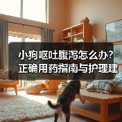 小狗呕吐腹泻怎么办?正确用药指南与护理建议(图3) 小狗呕吐腹泻怎么办?正确用药指南与护理建议(图3)