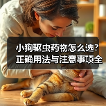 小狗驱虫药物怎么选?正确用法与注意事项全解析(图1) 小狗驱虫药物怎么选?正确用法与注意事项全解析(图1)